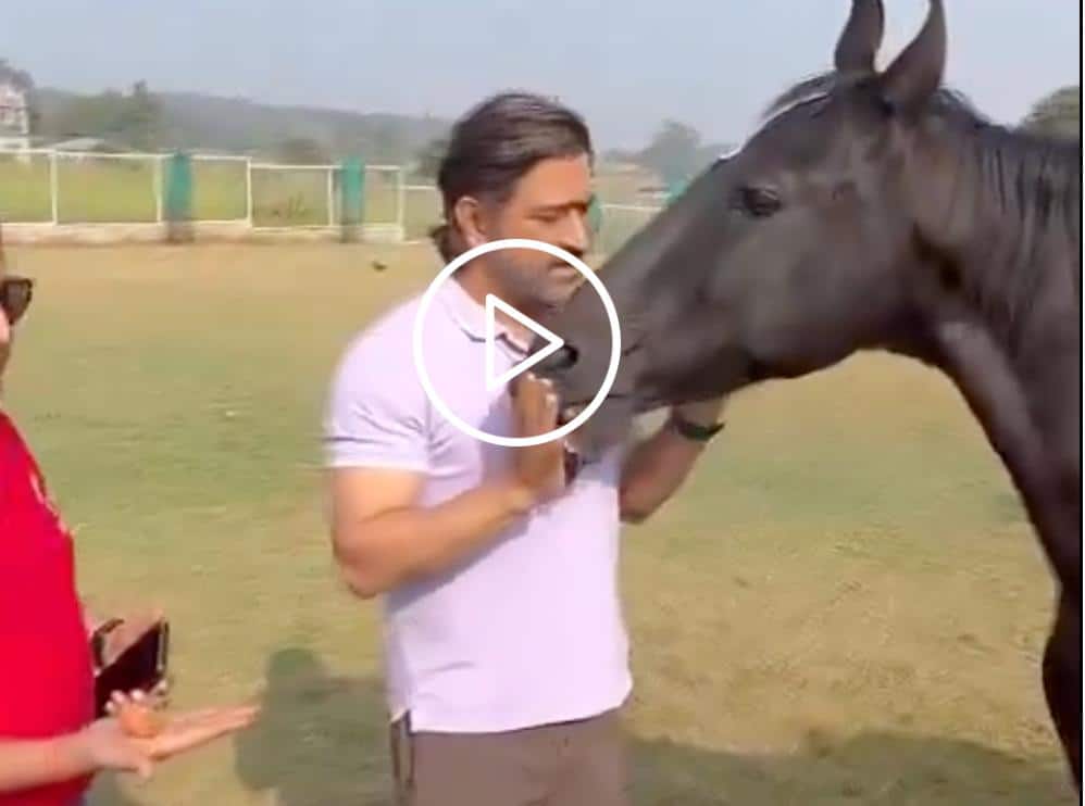 [Watch] 'No, This Hand Is Not For Eating': MS Dhoni Pampers And Feeds His Pet Horse